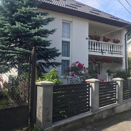 Pensiunea Grapini Sant Bagian luar foto