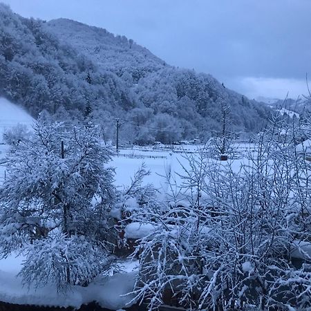 Pensiunea Grapini Sant Bagian luar foto