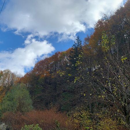 Pensiunea Grapini Sant Bagian luar foto