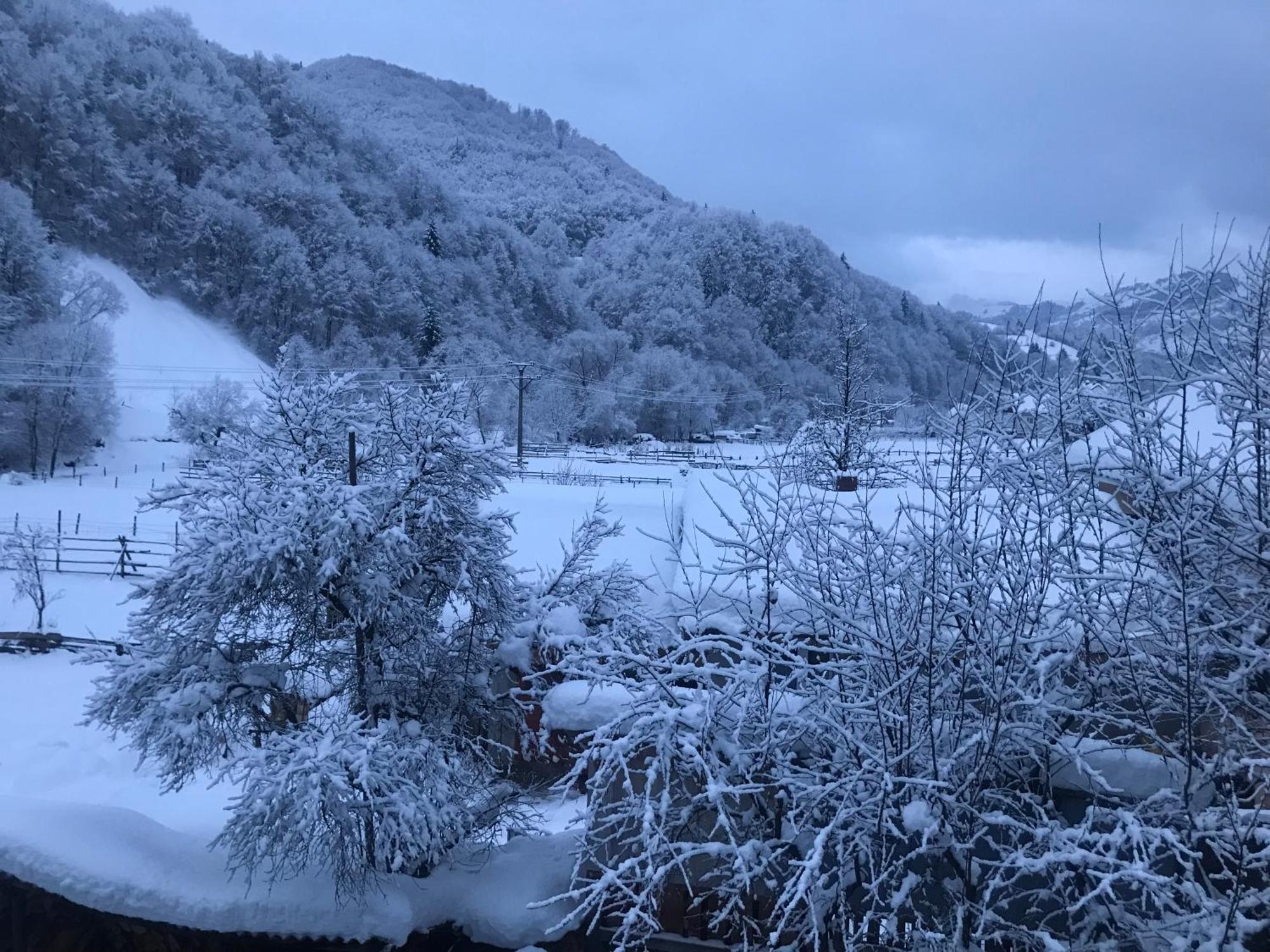 Pensiunea Grapini Sant Bagian luar foto